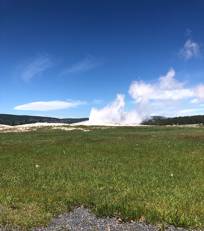 Old faithful erupting