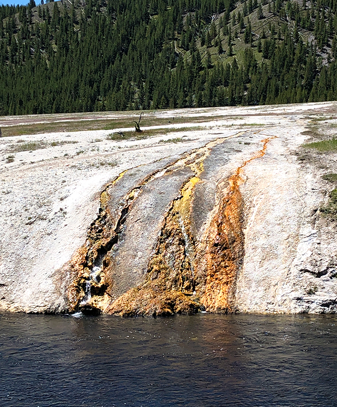 mineral deposits on rocks next to a river